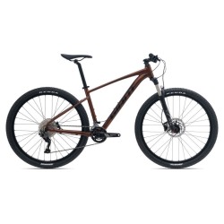 Mtb Giant Talon 29  -1 GE  2022