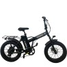 FAT BIKE ENERGIA 250W
